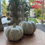 Beige Mottled Ceramic Pumpkins
Available in 2 sizes - Small 7.5cm &amp; Large 10cm