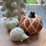 Ceramic Rustic Beige Hedgehog Decoration