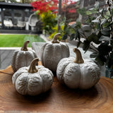 Neutral glazed Pumpkin with oversized leaves - Round 2 sizes
