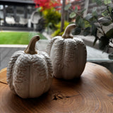 Neutral Glazed Tall slim Pumpkins with a stone rough stem &amp; decorated with oversized leaves hanging down
Available in 2 sizes - Small 10cm &amp; Large 13cm