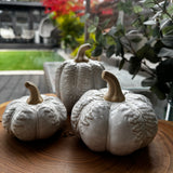 Neutral glazed Pumpkin with oversized leaves - Round 2 sizes