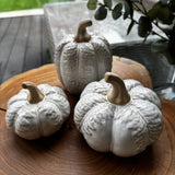 Neutral glazed Pumpkin with oversized leaves - Round 2 sizes