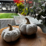 Neutral Glazed Tall slim Pumpkins with a stone rough stem &amp; decorated with oversized leaves hanging down
Available in 2 sizes - Small 10cm &amp; Large 13cm
