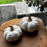 Neutral Glazed Tall slim Pumpkins with a stone rough stem &amp; decorated with oversized leaves hanging down
Available in 2 sizes - Small 10cm &amp; Large 13cm