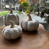 Neutral glazed Pumpkin with oversized leaves - Round 2 sizes