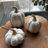 Neutral glazed Pumpkin with oversized leaves - Round 2 sizes