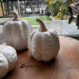 Neutral Glazed Tall slim Pumpkins with a stone rough stem &amp; decorated with oversized leaves hanging down
Available in 2 sizes - Small 10cm &amp; Large 13cm