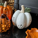 Small neutral ceramic glazed pumpkin with a rough stem &amp; green leaf detail.&nbsp; Has open flower detail cut out for the LED light to shine through H16cm