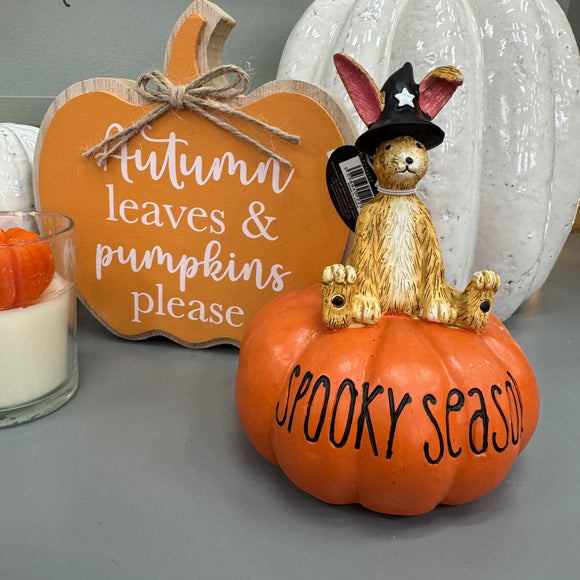 Ruth Rabbit wearing a Witch's Hat sat on an Orange pumpkin with the quote 'Spooky Season' 13.5cm