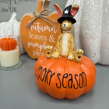 Ruth Rabbit wearing a Witch's Hat sat on an Orange pumpkin with the quote 'Spooky Season' 13.5cm