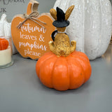 Ruth Rabbit Sat on Pumpkin 'Spooky Season'