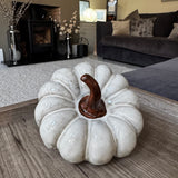 Ceramic Beige Textured Squashed Pumpkin Decoration with a twisted brown stalk 14cm