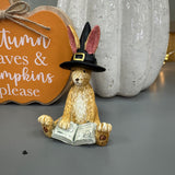 Halloween Sitting Witch Rabbit with spell book