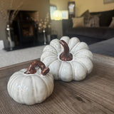 Ceramic Small Beige Textured Pumpkin Decoration with a twisted brown stalk 8.5cm