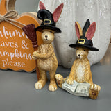 Witch Ruth Rabbit with Broomstick