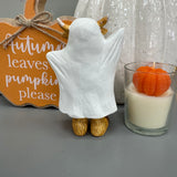 Harry the Highland Cow in Ghost Costume