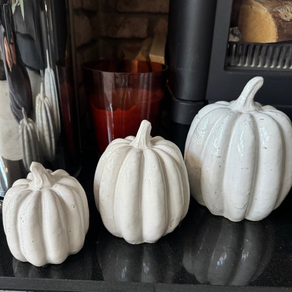 Concrete off White Distressed Glazed Pumpkins

Available in 3 sizes: Small (12cm), Medium (15.5cm) & Large (17cm)