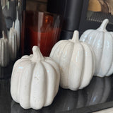 Concrete Off White Glazed Pumpkins - 3 sizes