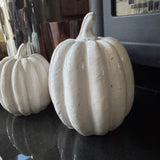 Concrete Off White Glazed Pumpkins - 3 sizes