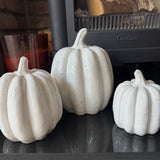 Concrete off White Distressed Glazed Pumpkins

Available in 3 sizes: Small (12cm), Medium (15.5cm) &amp; Large (17cm)
