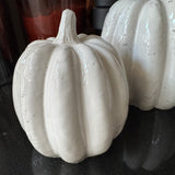 Concrete Off White Glazed Pumpkins - 3 sizes
