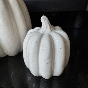 Concrete off White Distressed Glazed Pumpkins

Available in 3 sizes: Small (12cm), Medium (15.5cm) &amp; Large (17cm)