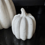 Concrete Off White Glazed Pumpkins - 3 sizes