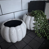 Off White Distressed Ceramic Pumpkin shaped Planters

Available in 2 sizes: Small (14cm) &amp; Large (16cm)