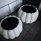 Off White Distressed Ceramic Pumpkin shaped Planters

Available in 2 sizes: Small (14cm) &amp; Large (16cm)