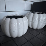 Off White Distressed Ceramic Pumpkin shaped Planters

Available in 2 sizes: Small (14cm) &amp; Large (16cm)