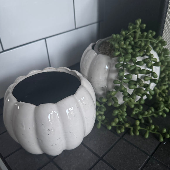 Off White Distressed Ceramic Pumpkin shaped Planters

Available in 2 sizes: Small (14cm) & Large (16cm)