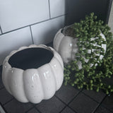 Off White Distressed Ceramic Pumpkin shaped Planters

Available in 2 sizes: Small (14cm) &amp; Large (16cm)