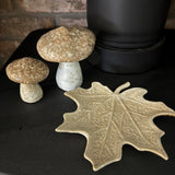 Natural Speckled Mushroom