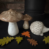 Natural Speckled Mushroom
