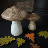 Natural Speckled Mushroom

Available in 2 sizes: Small (6.8cm) &amp; Large (10cm)