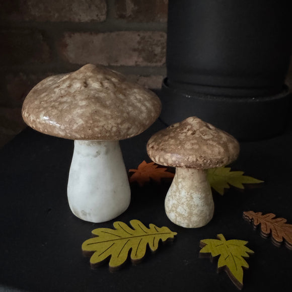 Natural Speckled Mushroom

Available in 2 sizes: Small (6.8cm) & Large (10cm)