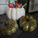Off White Ceramic Pumpkin Planters - 2 sizes