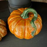 Ceramic Glossy Deep Orange Pumpkin 16cm with long green twisted stalk