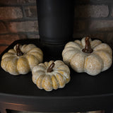 Orange glazed Speckled Ceramic Pumpkins with curly brown stalk

Available in 3 sizes: Small (11cm), Medium (14cm) &amp; Large (16cm)
