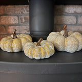 Orange glazed Speckled Ceramic Pumpkins with curly brown stalk

Available in 3 sizes: Small (11cm), Medium (14cm) &amp; Large (16cm)