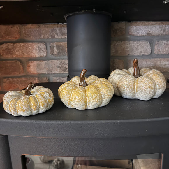 Orange glazed Speckled Ceramic Pumpkins with curly brown stalk

Available in 3 sizes: Small (11cm), Medium (14cm) & Large (16cm)