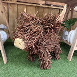 Willow the Highland Cow