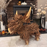 Willow the Highland Cow