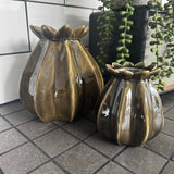 White Poppy Seed Vases | 2 Sizes