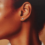 Message in a Bottle Star Earrings - 'Friends are like stars'