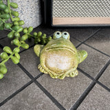 Hop to it!
Small detailed Green ceramic frog decoration 6.8cm