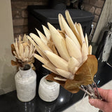 Stunning quality Faux Protea Leaf Stem H71cm - Large head made up of small florets..
Colour - Natural Apricot&nbsp;