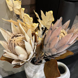 Faux Protea Leaf Stem - Mulberry Brown