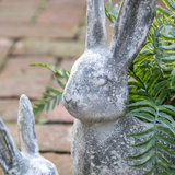 Bunny Planters - 2 sizes