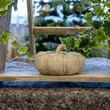 Beige Mottled Ceramic Pumpkins - 2 sizes